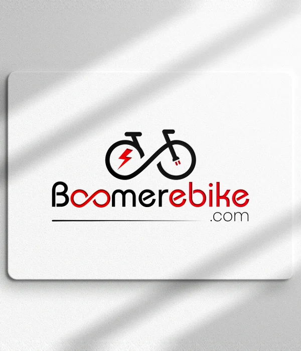 hero boomerebike